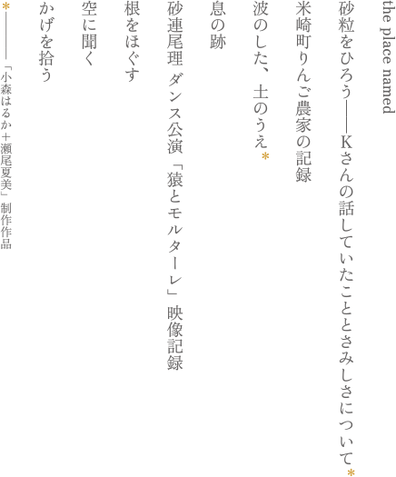 the place named、砂粒をひろう———Ｋさんの話していたこととさみしさについて、米崎町りんご農家の記録、波のした、土のうえ、息の跡、砂連尾理 ダンス公演「猿とモルターレ」映像記録、根をほぐす、空に聞く、かげを拾う